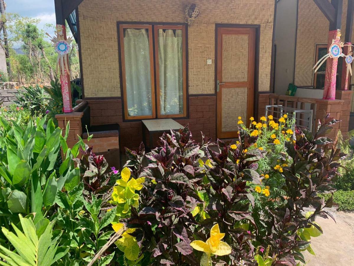 Banyuwedang Taman Menjangan Homestay By Snorkelingmenjangan מראה חיצוני תמונה